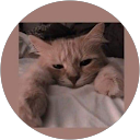 Wikunia Wika profile picture